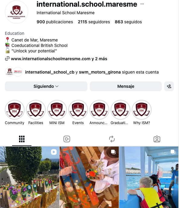 Instagram Feed ISM